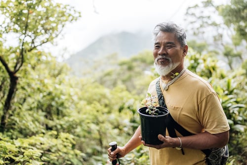 Sam Ohu Gon of The Nature Conservancy holds a native plant for replanting