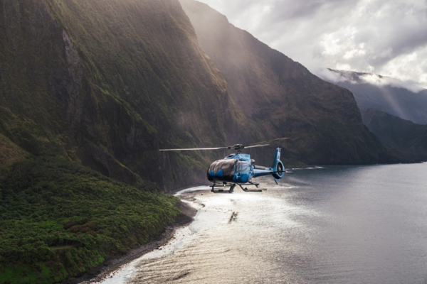 Hawaii media newsletter (32)