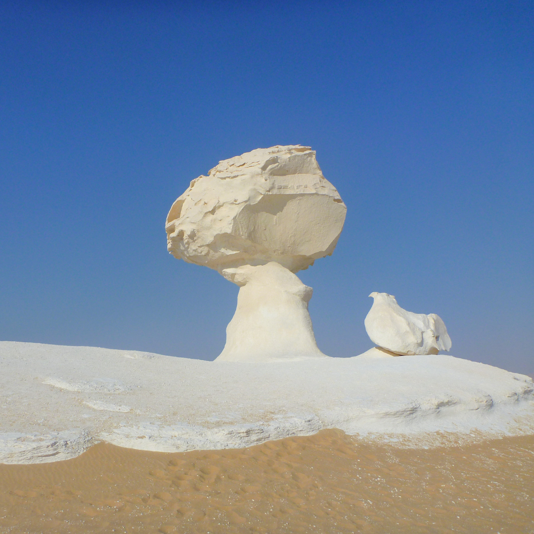 Pics resized for HTO consumer eDMs (63)