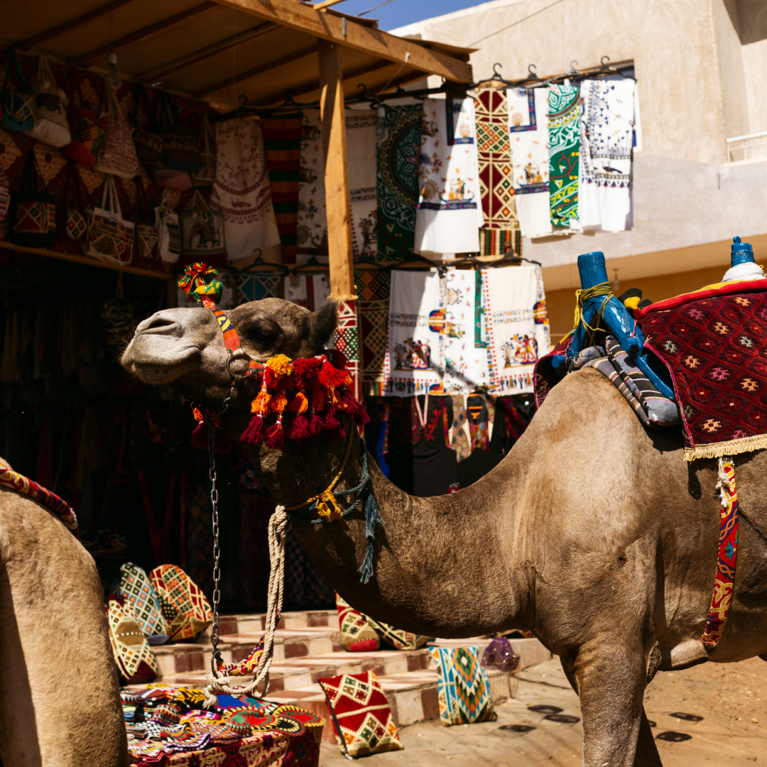 Pics resized for HTO consumer eDMs (64)